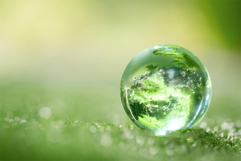 Glass globe on vibrant green moss in a natural setting, symbolizing sustainable initiatives in the media and entertainment industry.